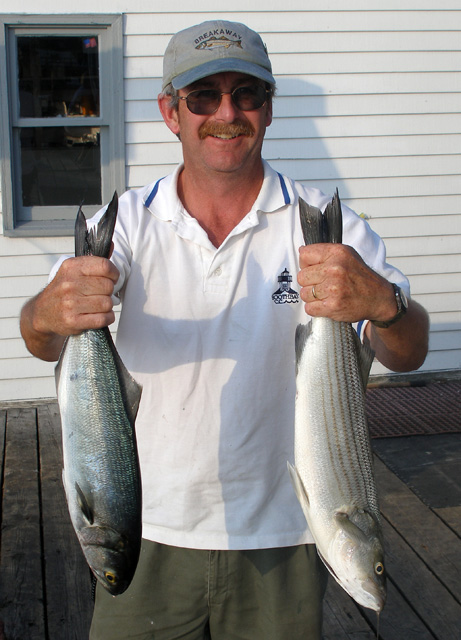 Striper & Blue 2007